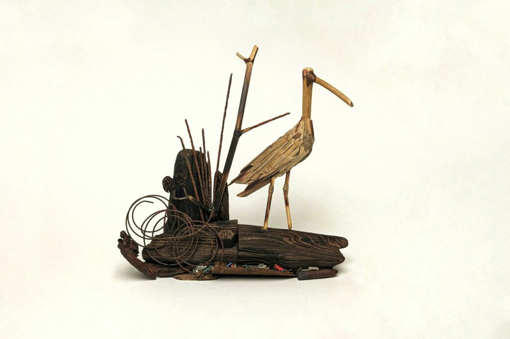 Vanishing Shores; A Curlew’s Call